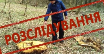 Як рубають ліс на мільйони гривень і хто кришує «чорних» лісників