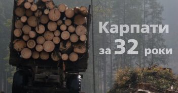 Карпатські ліси: 32 роки варварства