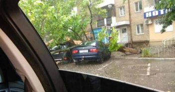 Непогода наделала беды в Херсоне: падали деревья и балконы
