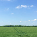 Ціни на землю продовжують зростати: західні регіони б’ють рекорди