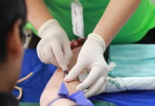 Чек-лист здоров’я: які аналізи здавати щороку, а які – зайві витрати