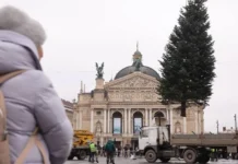 Новорічні ялинки України: в Полтаві – перша за роки війни, у Львові – подарунок від мешканців