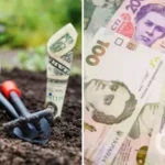 Як зберегти і примножити свої гроші: топ-6 ідей для інвестицій від провідних компаній України