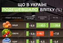 Що в Україні здешевшало найбільше протягом літа